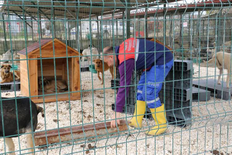 HBB HATAY’A YENİ BARINAK KAZANDIRIYOR HBB’DEN MİNİK DOSTLARA YENİ BAKIM ALANI HBB’DEN YAYLADAĞI’NA YENİ HAYVAN BARINAĞI